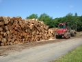 Spruce logs ready for teh sawmill._s
